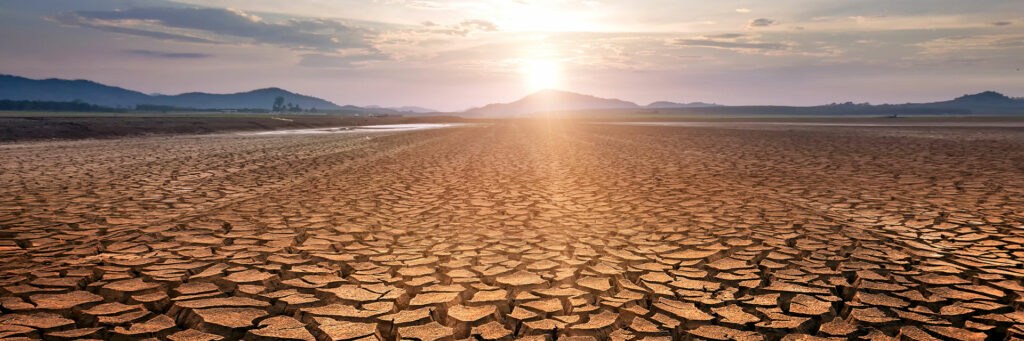 Cycle menstruel et acupuncture - Dr Nguyen à Paris