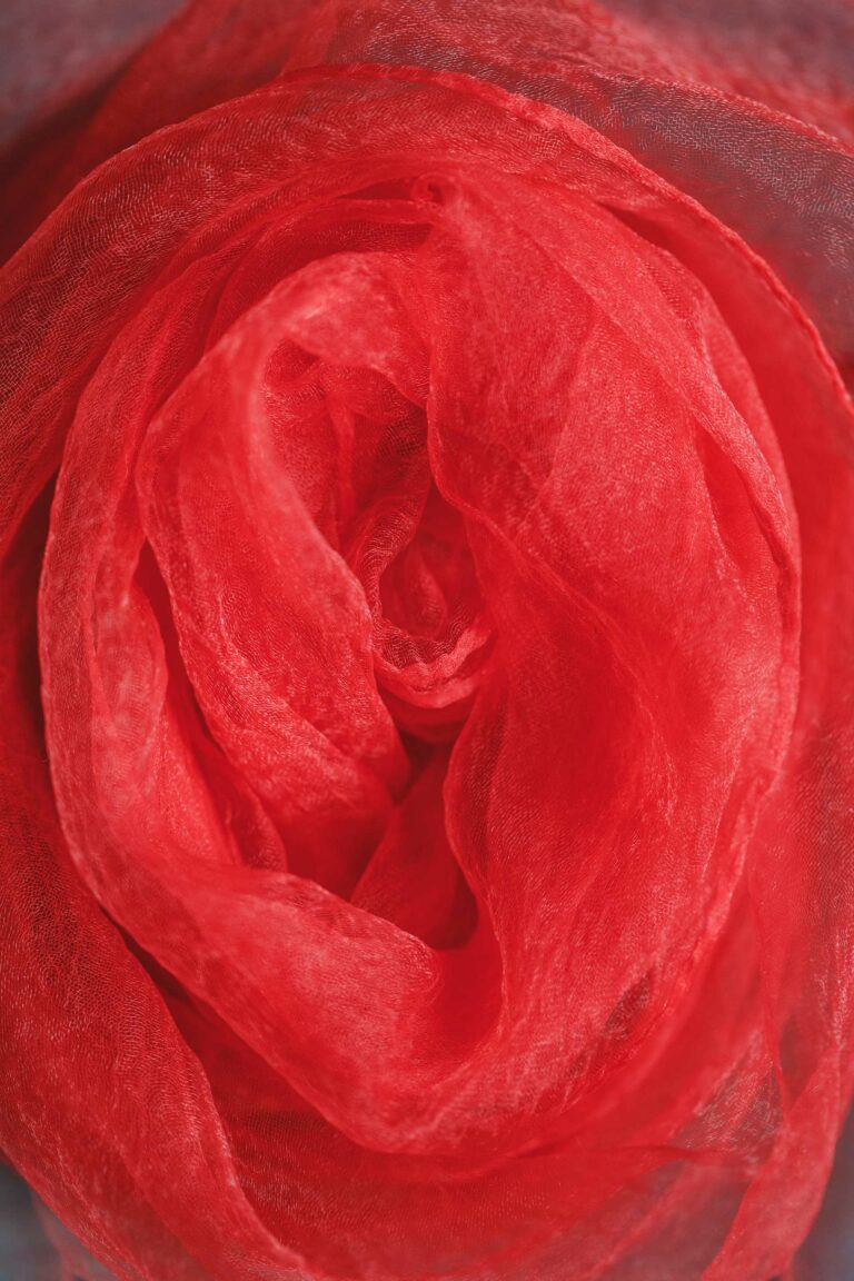 Vaginisme et acupuncture - Dr NGUYEN à Paris