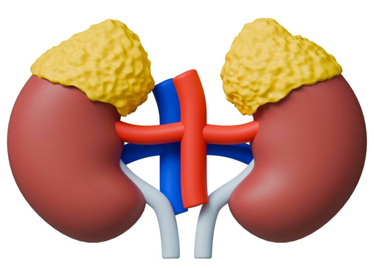 Acupuncture et Fatigue des surrénales