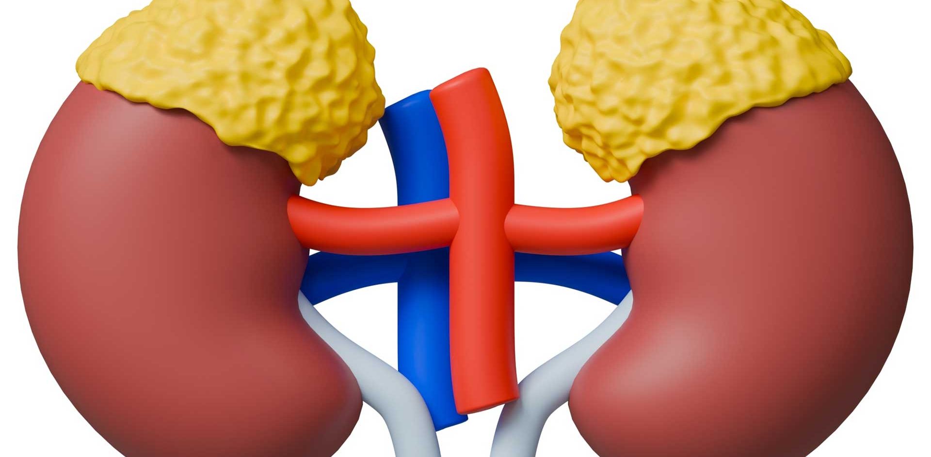 Acupuncture et Fatigue des surrénales