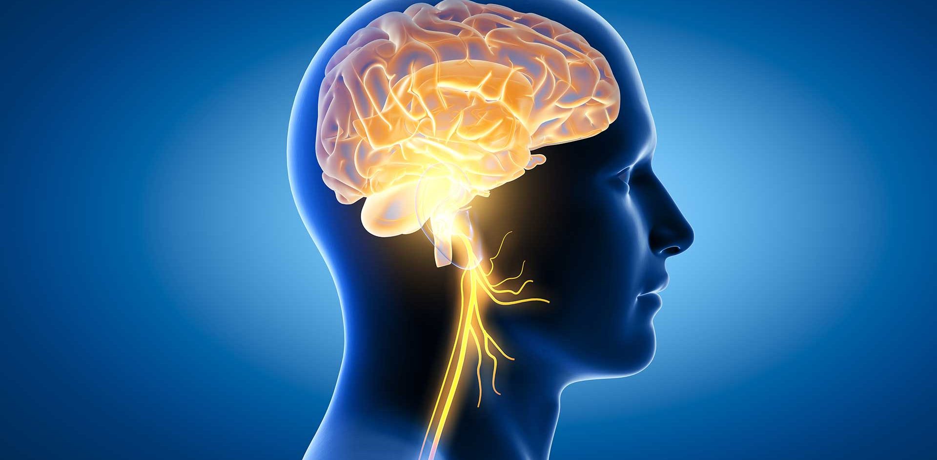 Acupuncture et nerf vague : une piste naturelle contre la dépression résistante